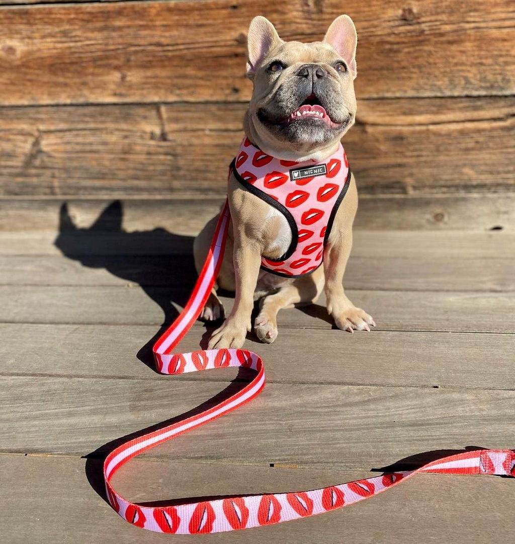 Luxury Red Lips Breathable Mesh Harness Chest Back + Traction