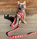 Luxury Red Lips Breathable Mesh Harness Chest Back + Traction