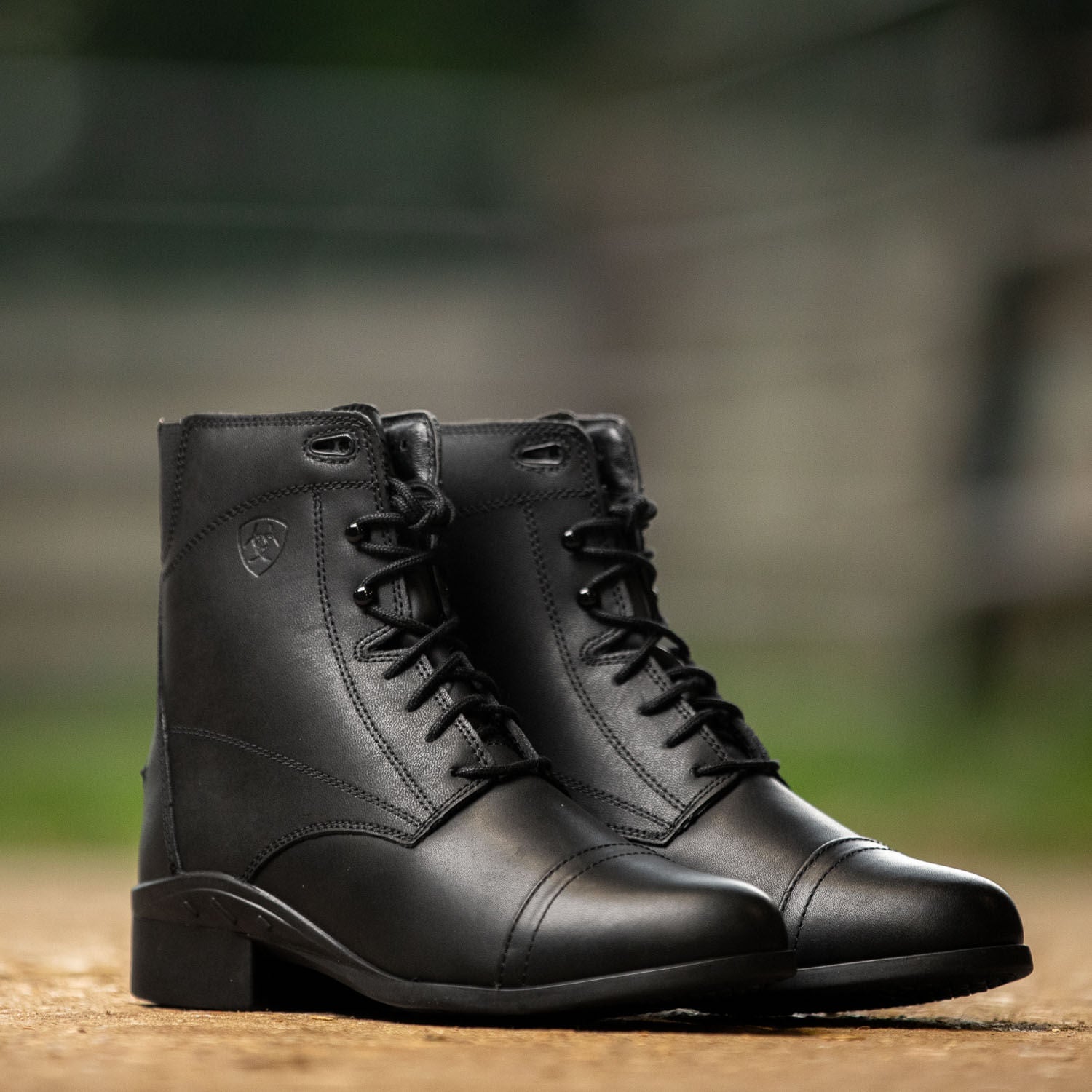 Ariat Women's Scout Laced Paddock Boot, Black