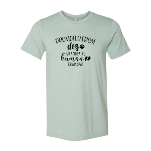 Promoted From Dog Grandpa to Human Grandpa T-Shirt