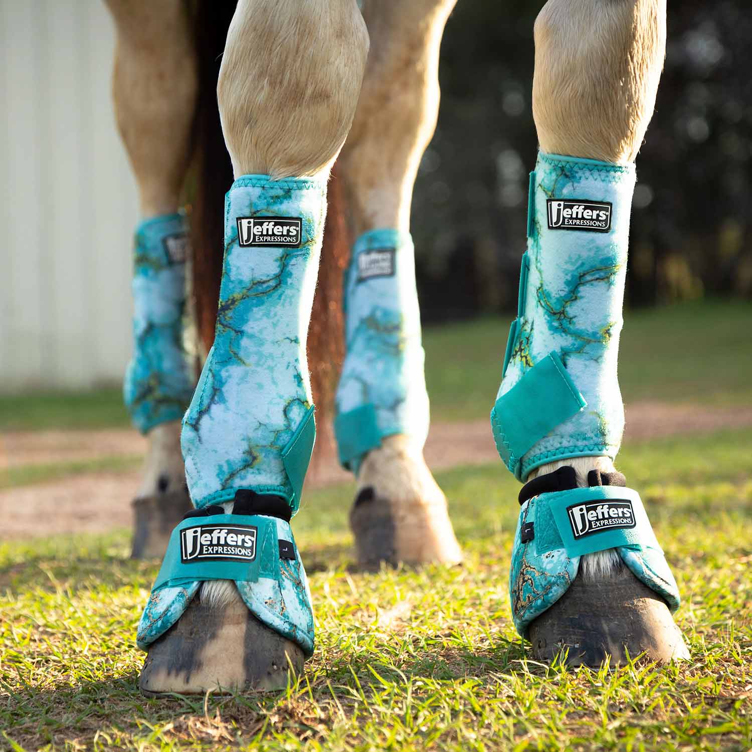 Jeffers Expression Protective Boots for Horses