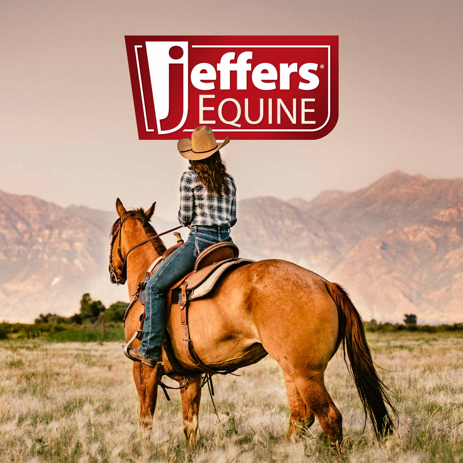 Jeffers WoolLuxe 100% Wool Equine Saddle Pad – Cushioned, Breathable, and Shock-Absorbing