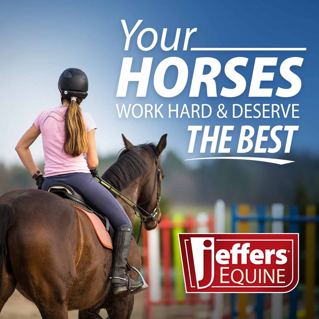 Jeffers Uniquely English Fetlock Boots for Horses, 2-Pack
