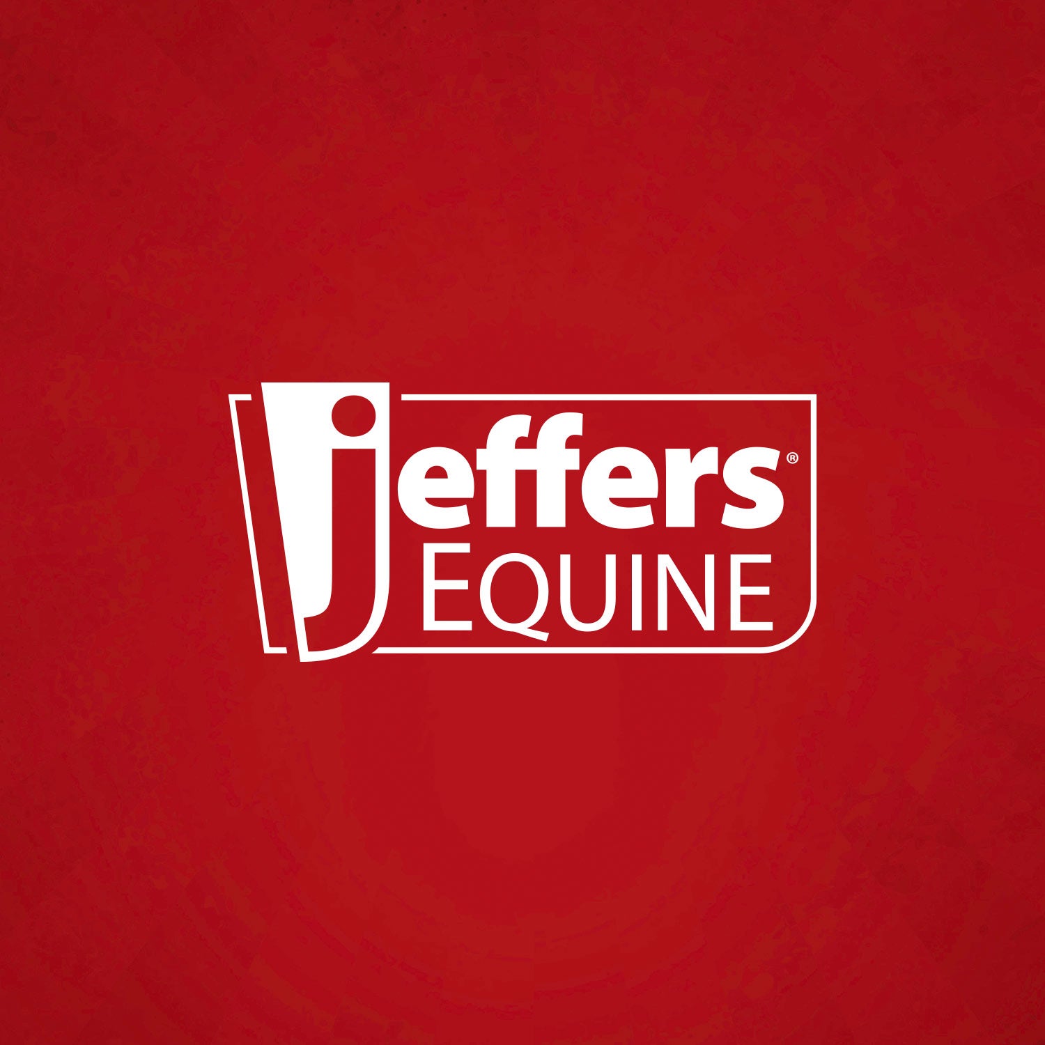 Jeffers Adjustable Nylon Miniature Horse Halter