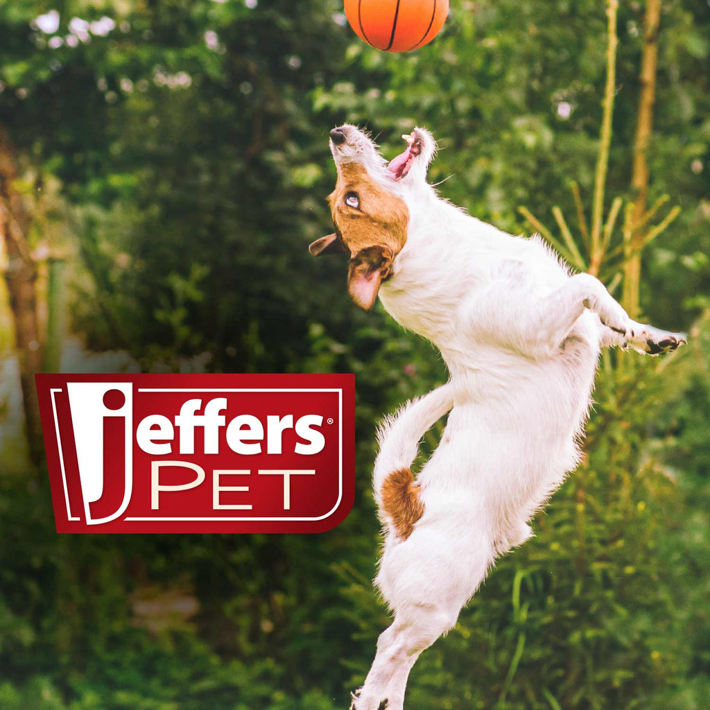 Jeffers Animal Cuddlers Plush Squeaky Dog Toys