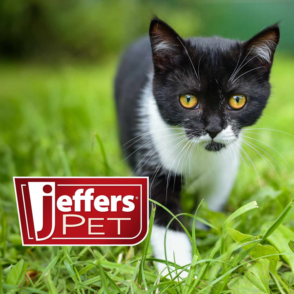 Jeffers Pet Nail File for Dog and Cat Nail Grooming, 7"L