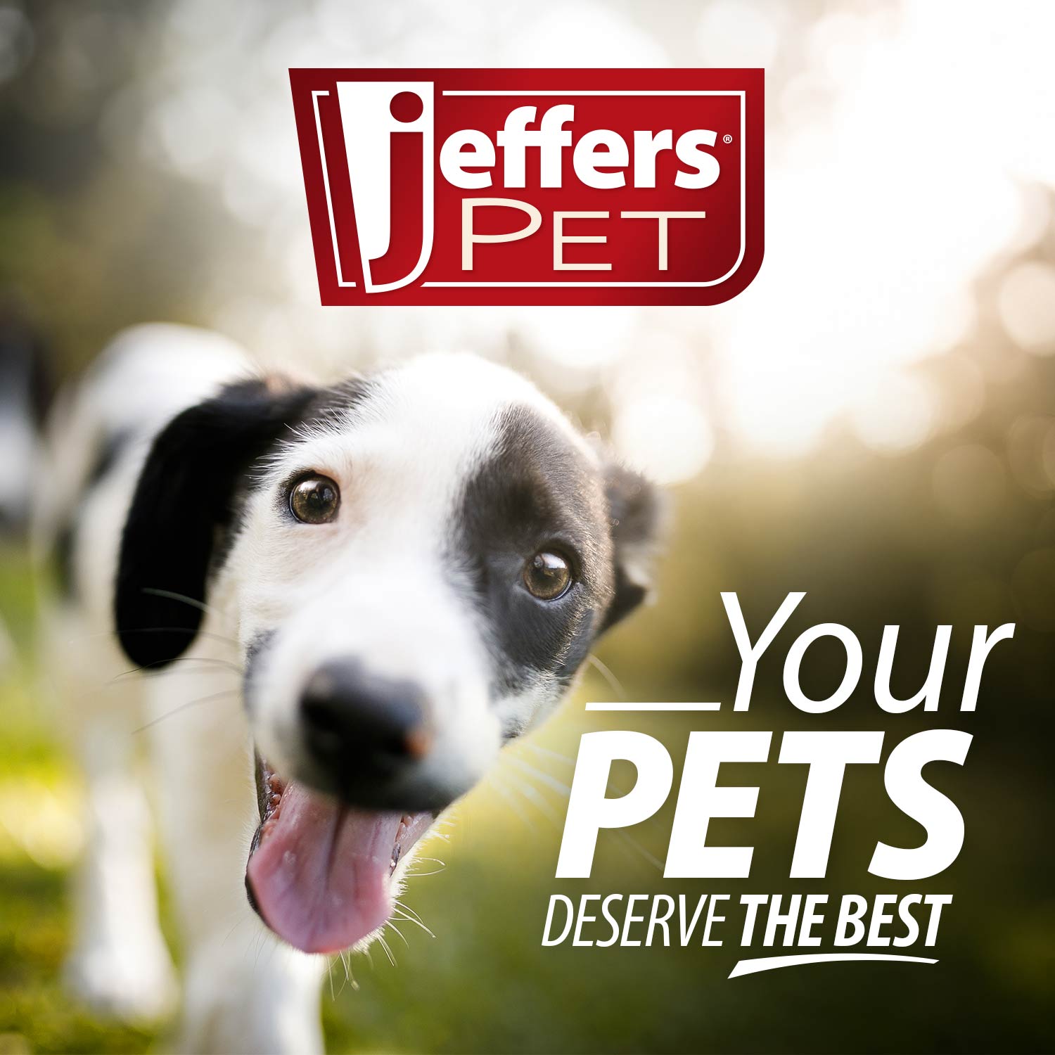 Jeffers Ice Cream Cone Natural Rubber Stuffable Treat Dispensing Dental Dog Chew Toy