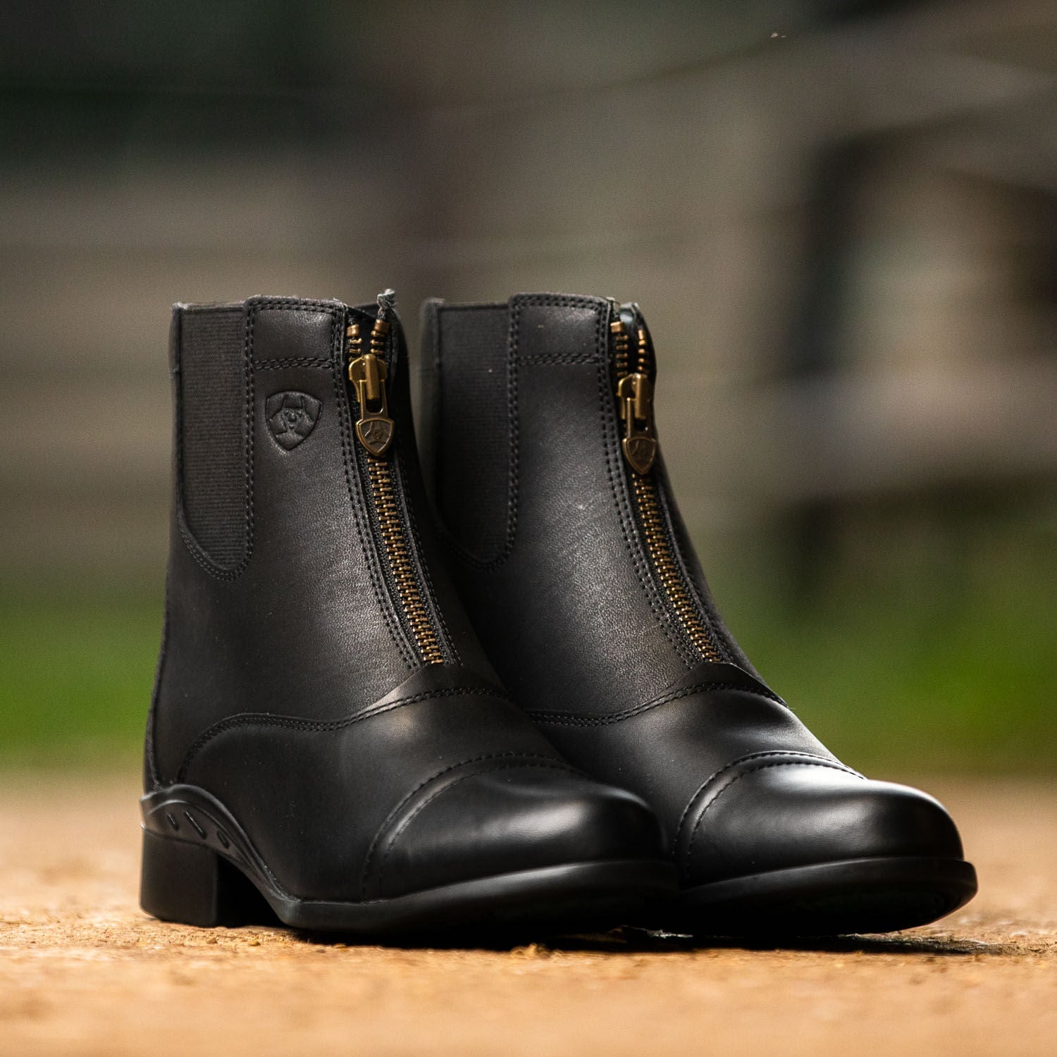Ariat Scout Zip Paddock Boot, Adult, Black