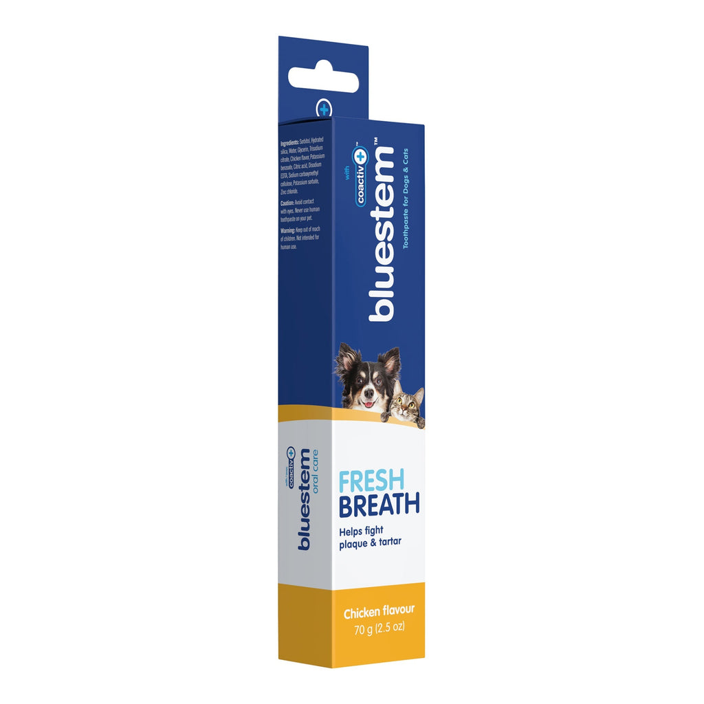 Bluestem Coactiv+ Pet Toothpaste for Dogs and Cats, Chicken Flavor, 2.5 oz