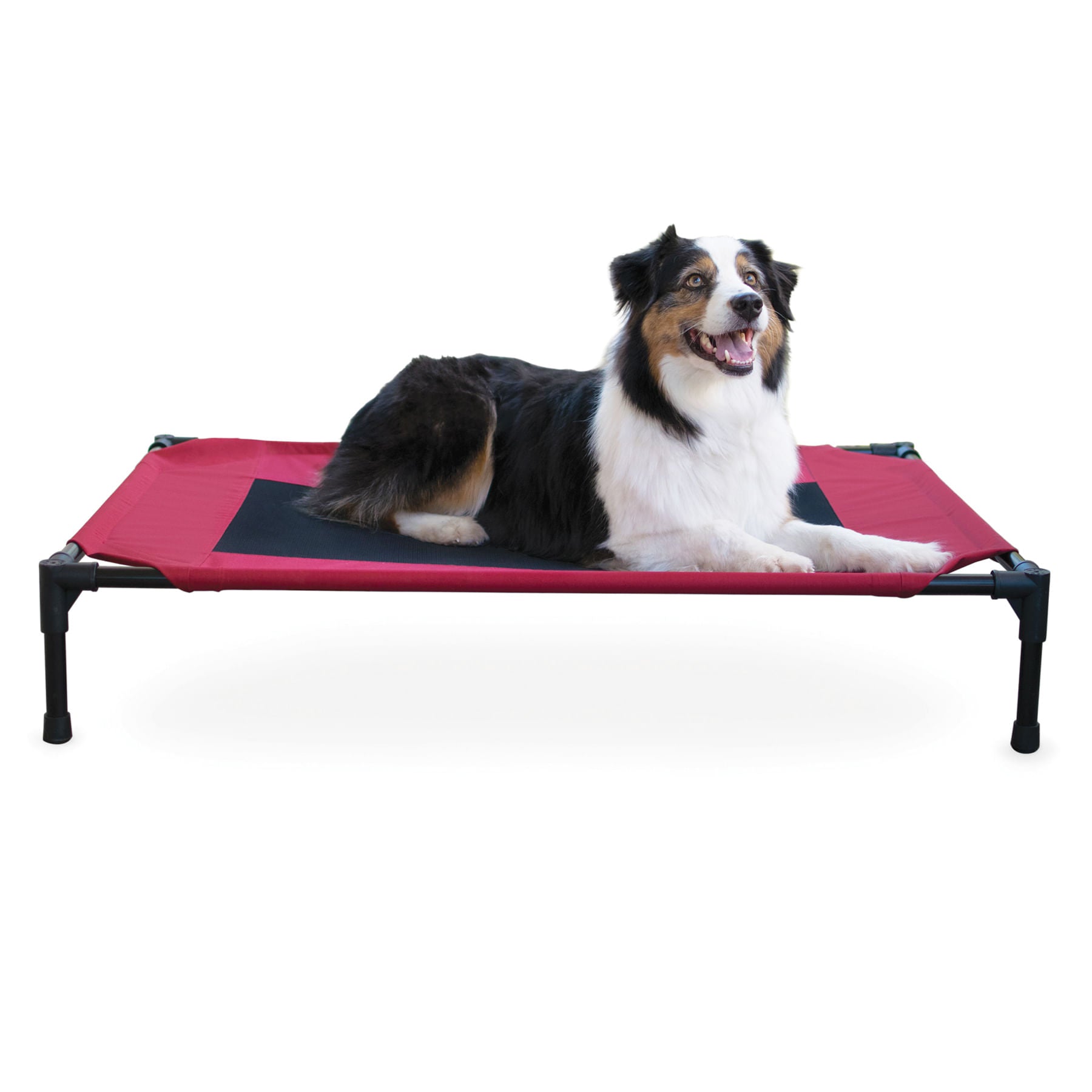 K&H Elevated Dog Bed, Small to X-Large