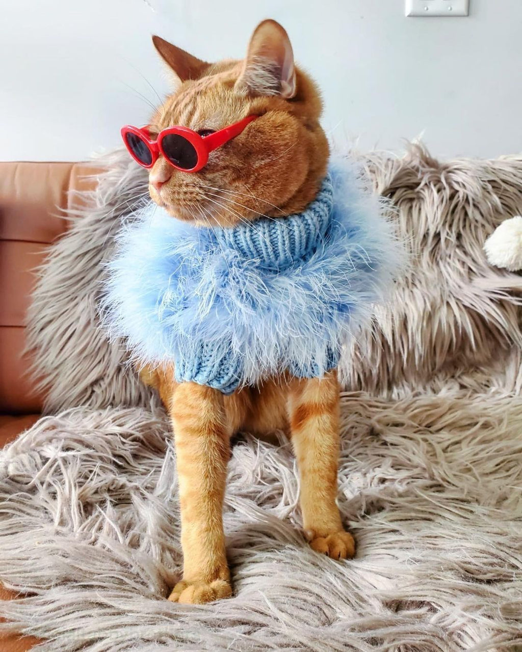 Haute Couture Feathered Luxury Pet Sweater