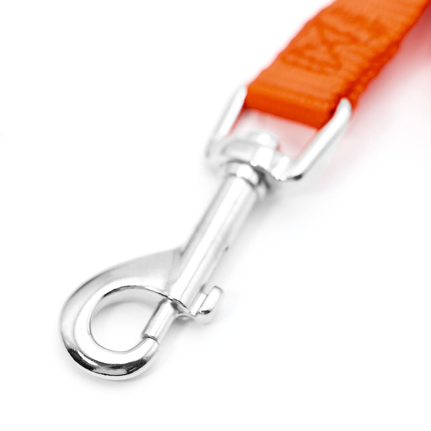 Jeffers 1-Ply Web Nylon Dog Leashes