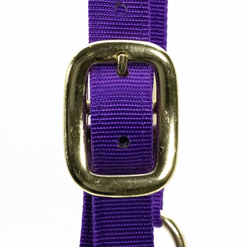 Jeffers Adjustable Halter with Throat Snap
