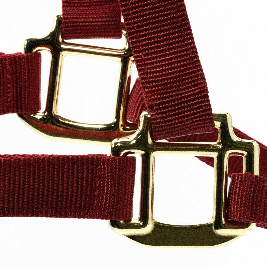 Jeffers Adjustable Halter with Throat Snap