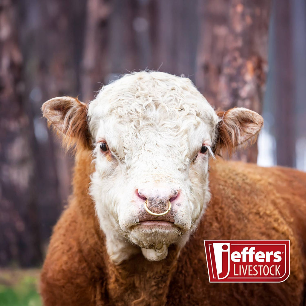 Jeffers Bull Ring with Screws