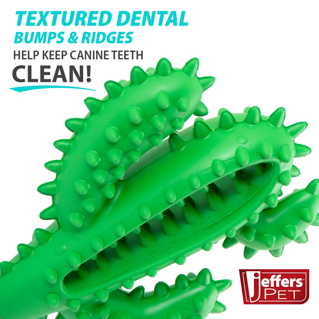 Jeffers Cactus Natural Rubber Dental Chew Toy for Dogs for Healthy Chewing Habits