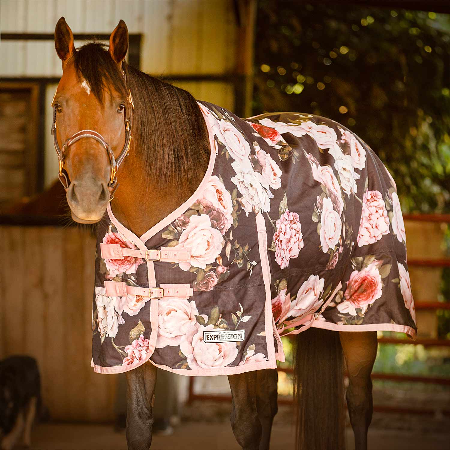 Jeffers Expression 1200 Denier Standard Neck Horse Turnout Sheet, 0 Gram