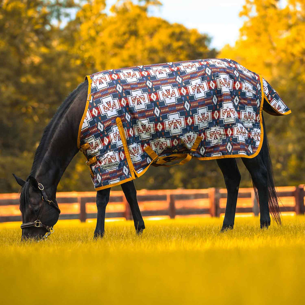 Jeffers Expression 1200 Denier Standard Neck Horse Turnout Sheet, 0 Gram