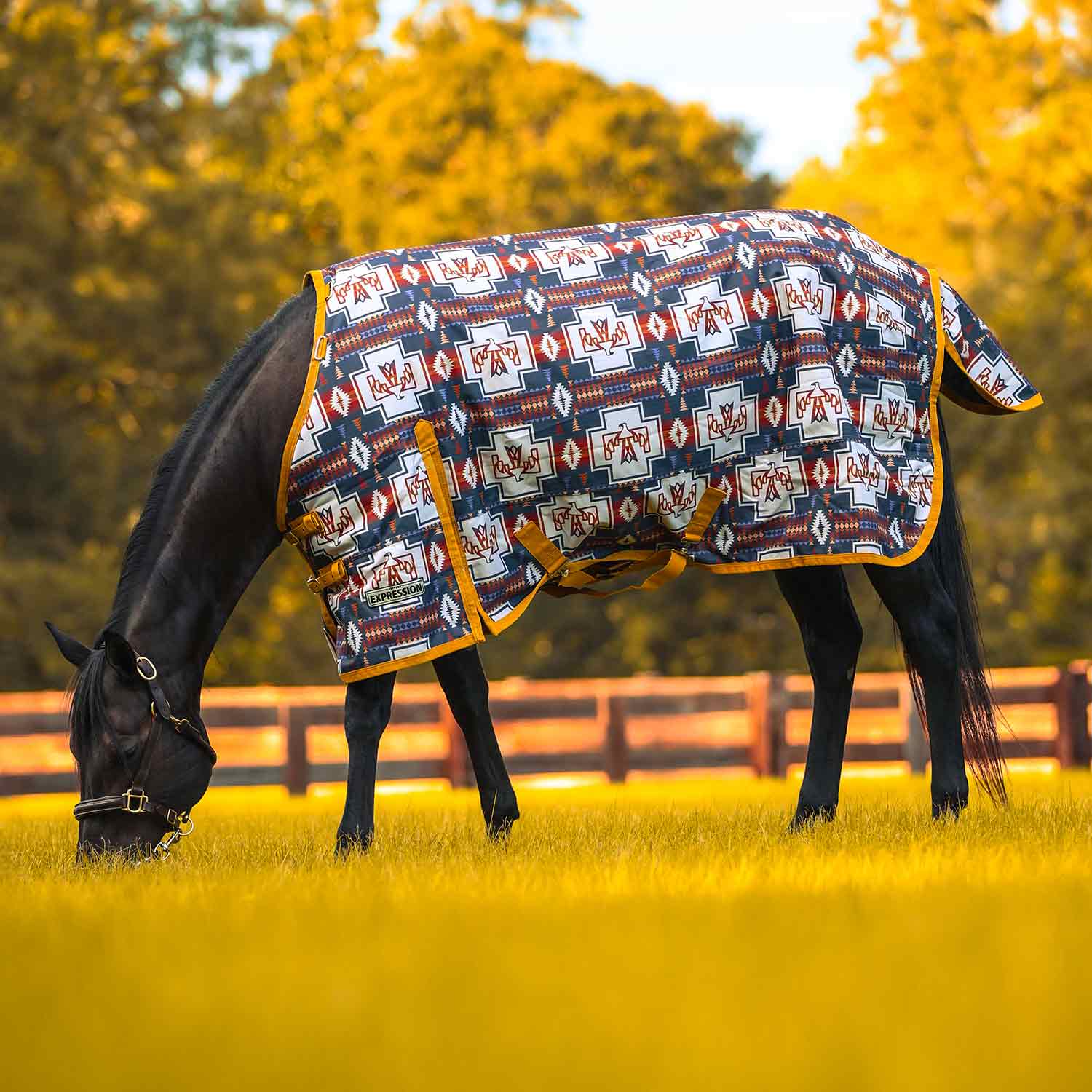 Jeffers Expression 1200 Denier Standard Neck Horse Turnout Sheet, 0 Gram