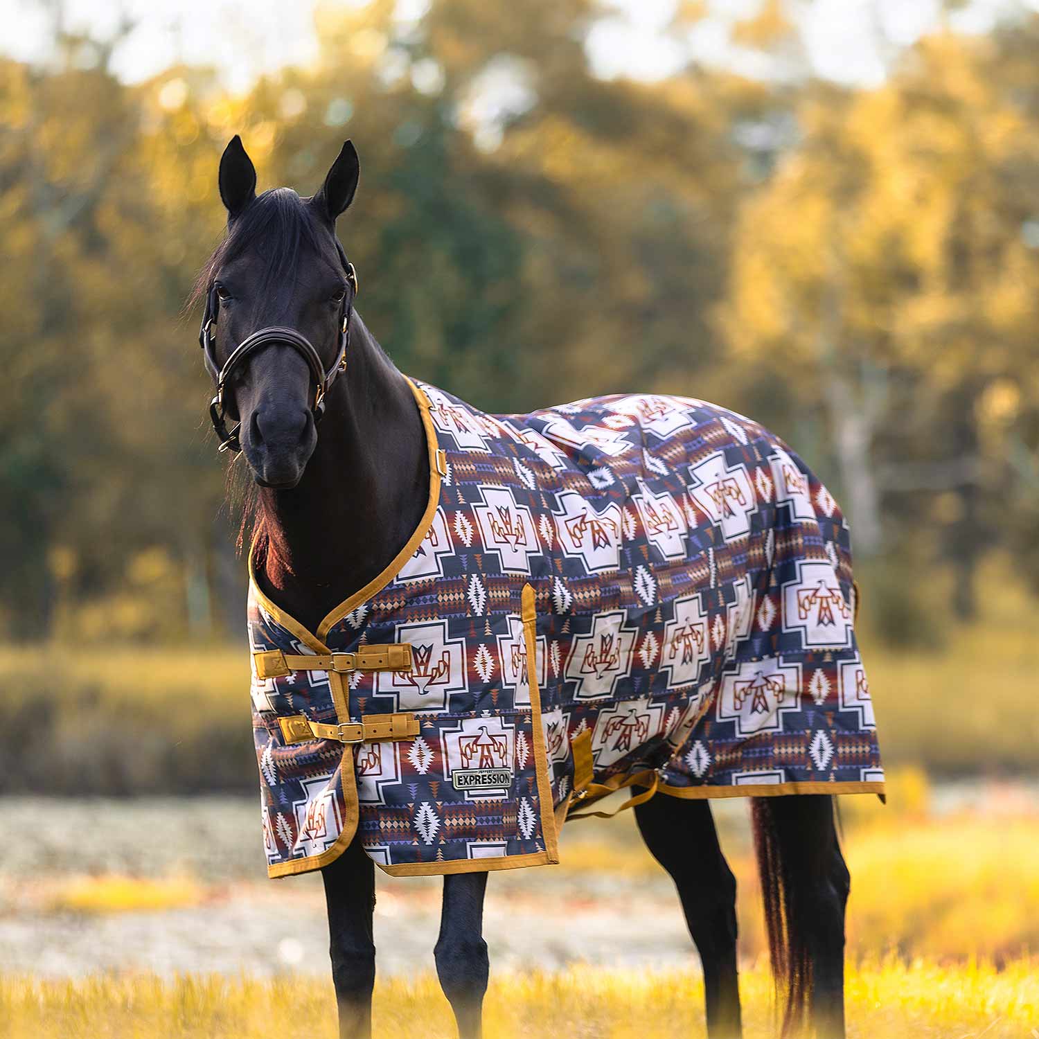 Jeffers Expression 1200 Denier Standard Neck Horse Turnout Sheet, 0 Gram
