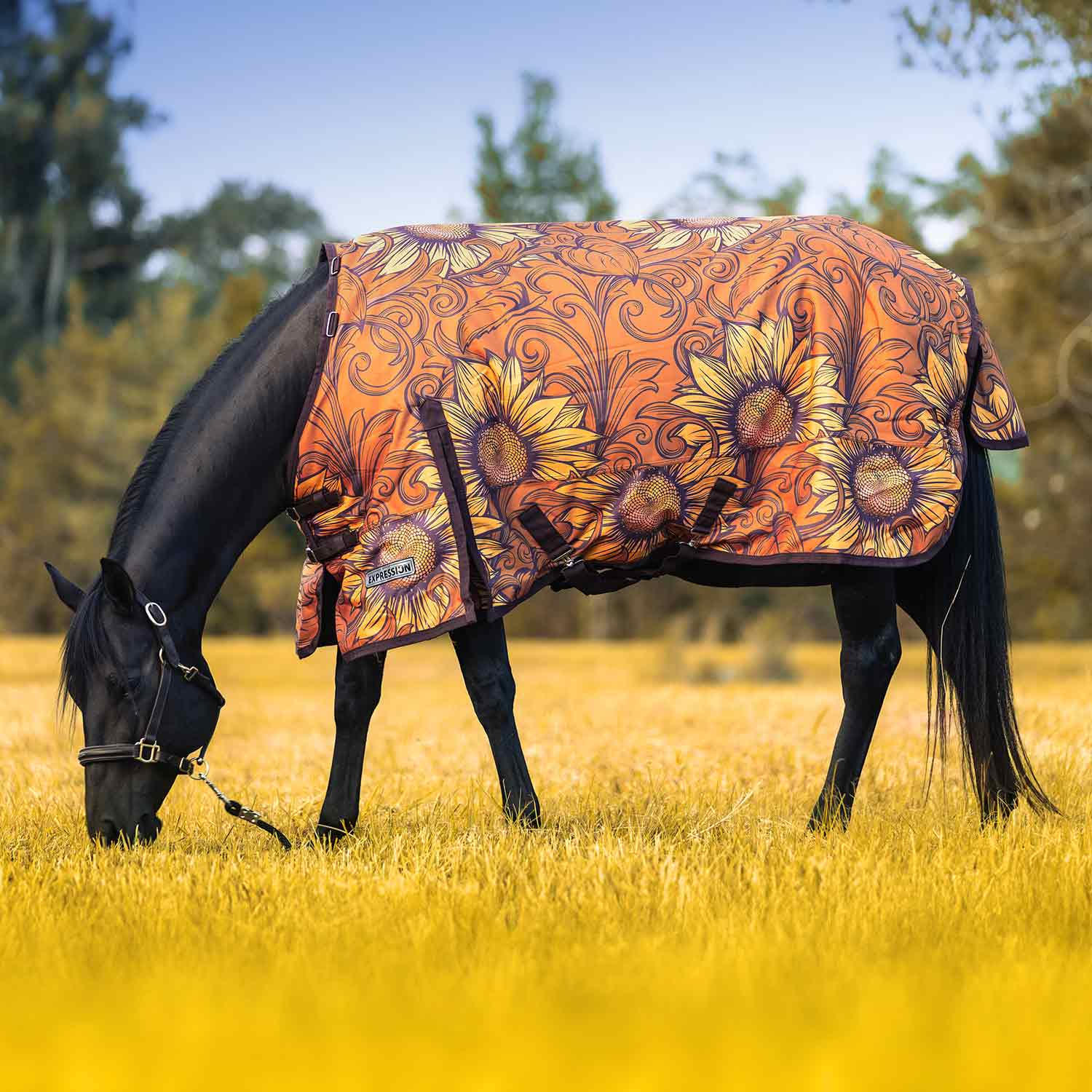 Jeffers Expression 1200 Denier Standard Neck Horse Turnout Sheet, 0 Gram
