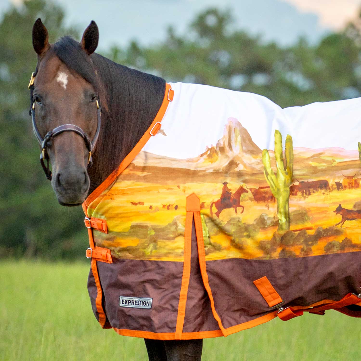 Jeffers Expression 1200 Denier Standard Neck Horse Turnout Sheet, 0 Gram