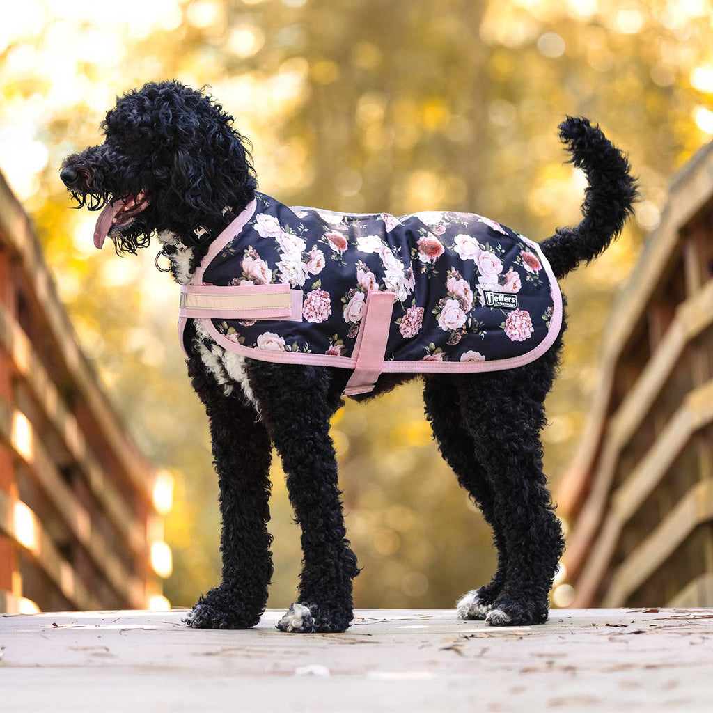 Jeffers Expression 600D Waterproof Ripstop Dog Coat, 240 Gram