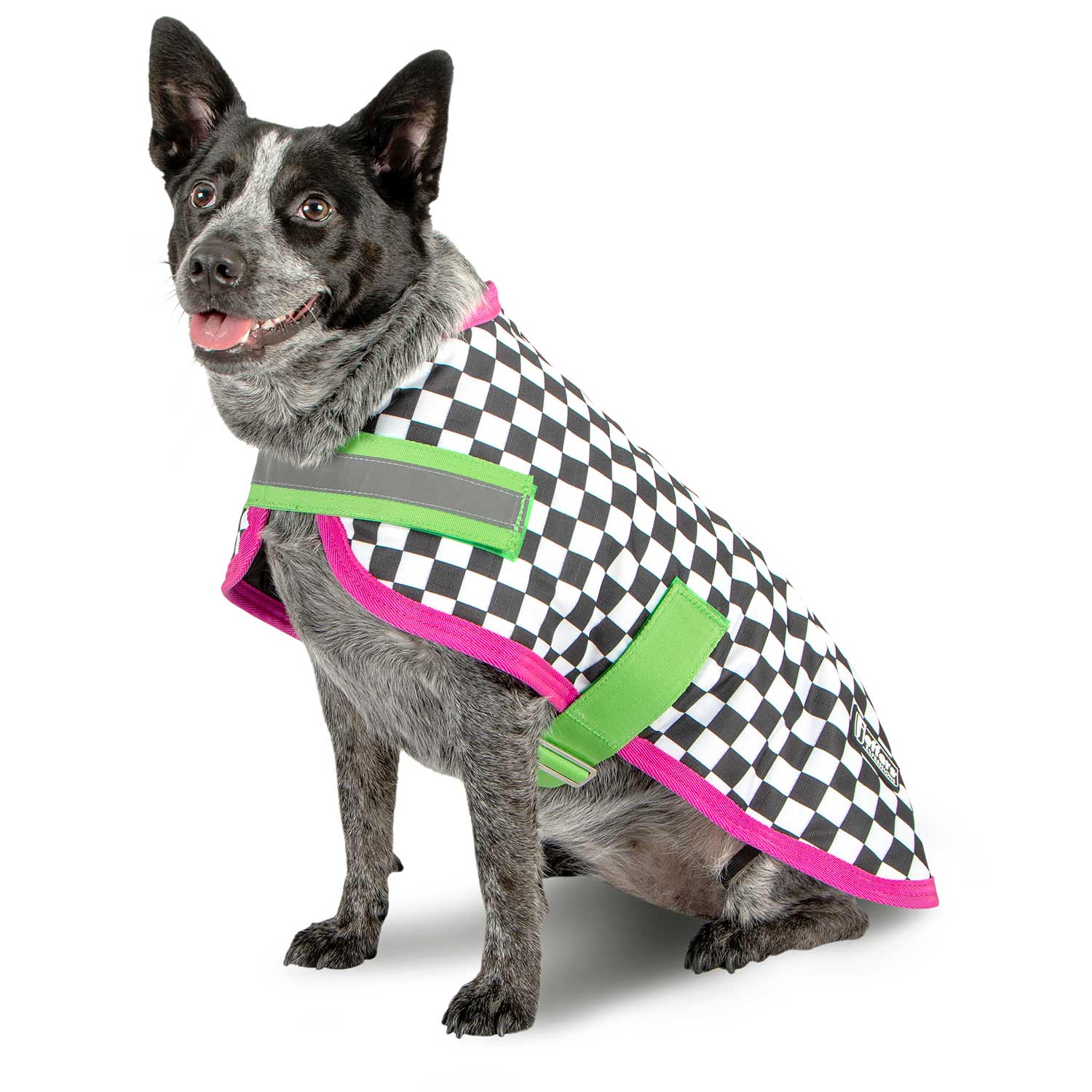 Jeffers Expression 600D Waterproof Ripstop Dog Coat, 240 Gram