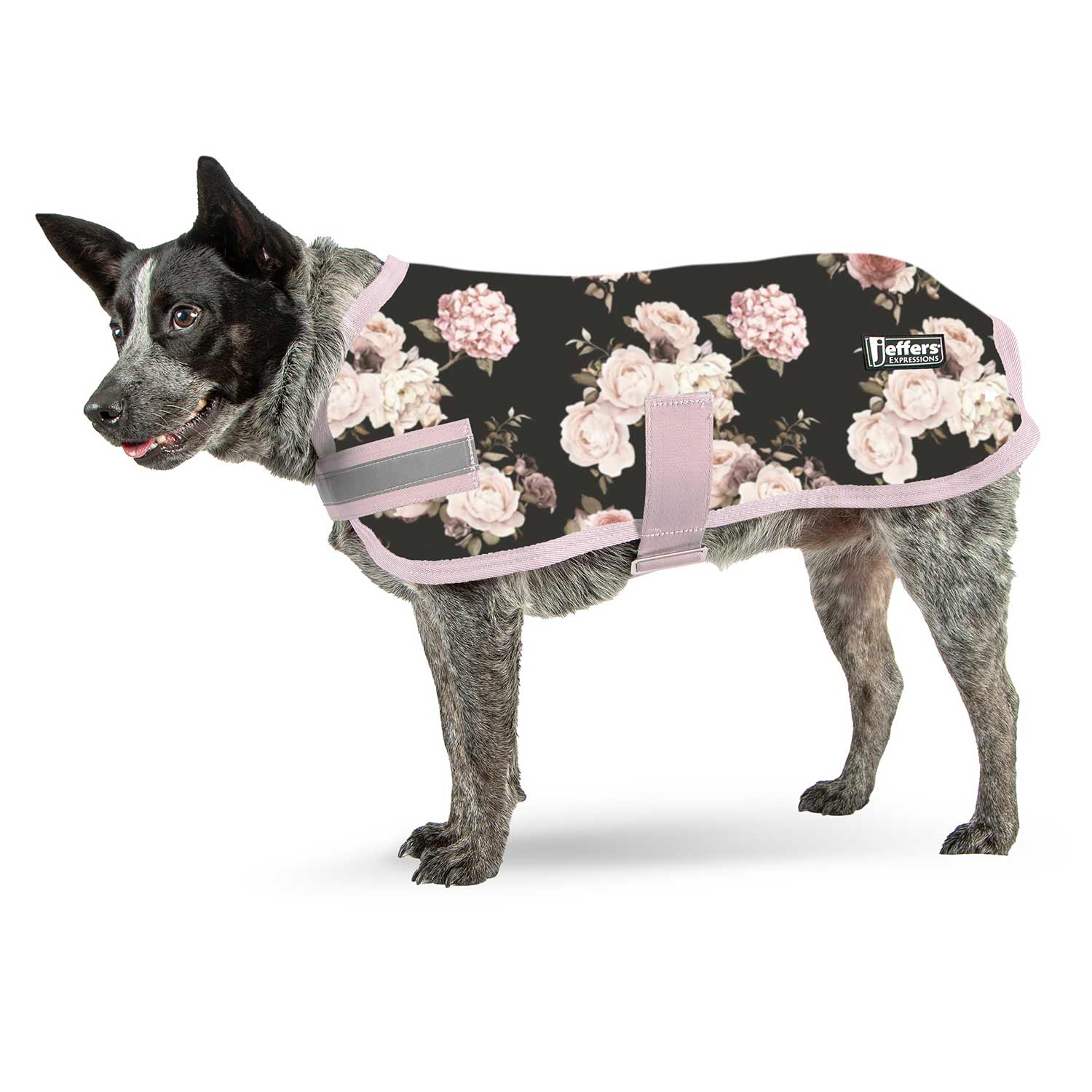 Jeffers Expression Moisture-Wicking Fleece Dog Coat