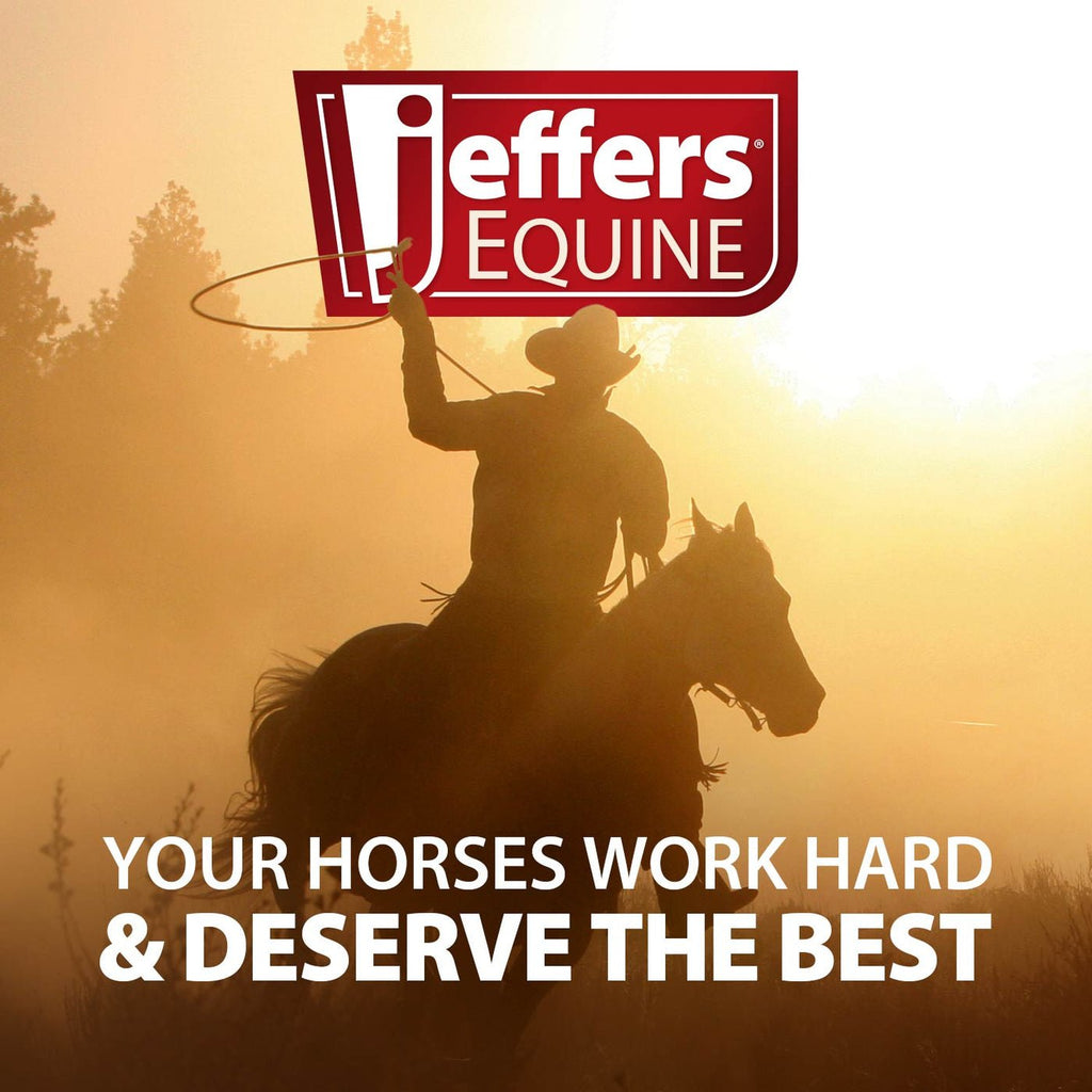 Jeffers Expression Equestrian Gear Bag
