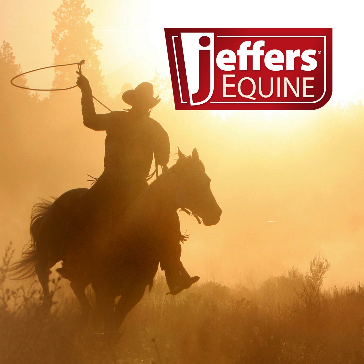 Jeffers Equine Menthol Cooling Shampoo for Horses