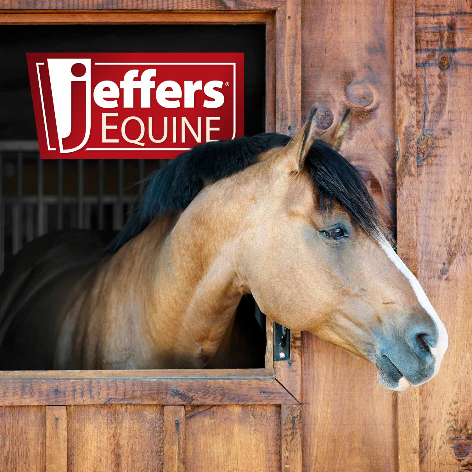 Jeffers Equine BRIGHTENING BLUE Whitening Horse Shampoo