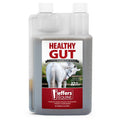 Jeffers Healthy Gut Gastric Support Liquid Supplement for Horses