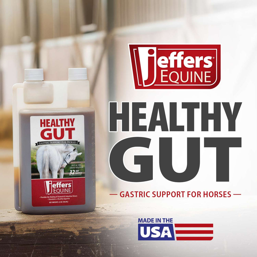 Jeffers Healthy Gut Gastric Support Liquid Supplement for Horses
