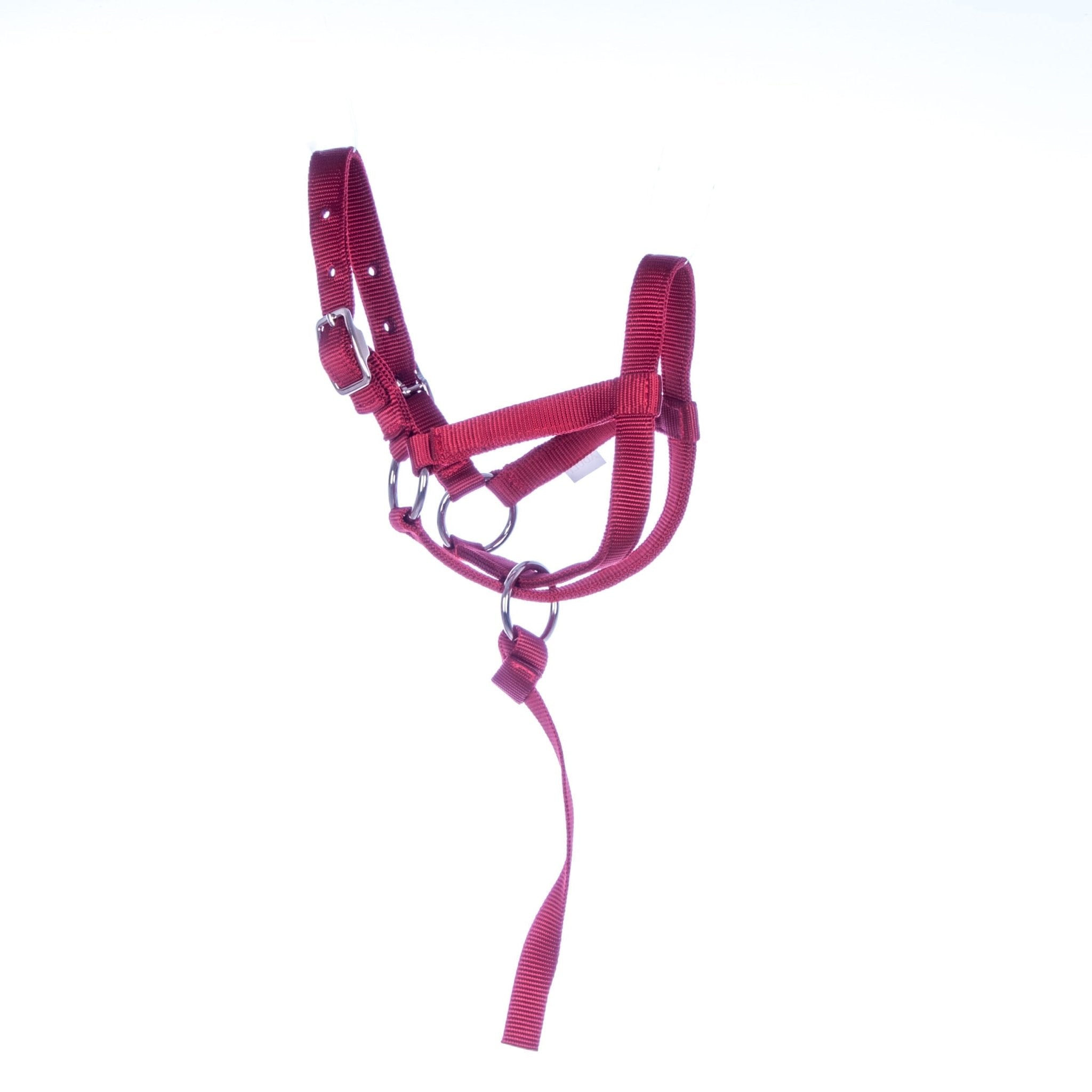Jeffers Nylon Llama Halter with Catch Strap