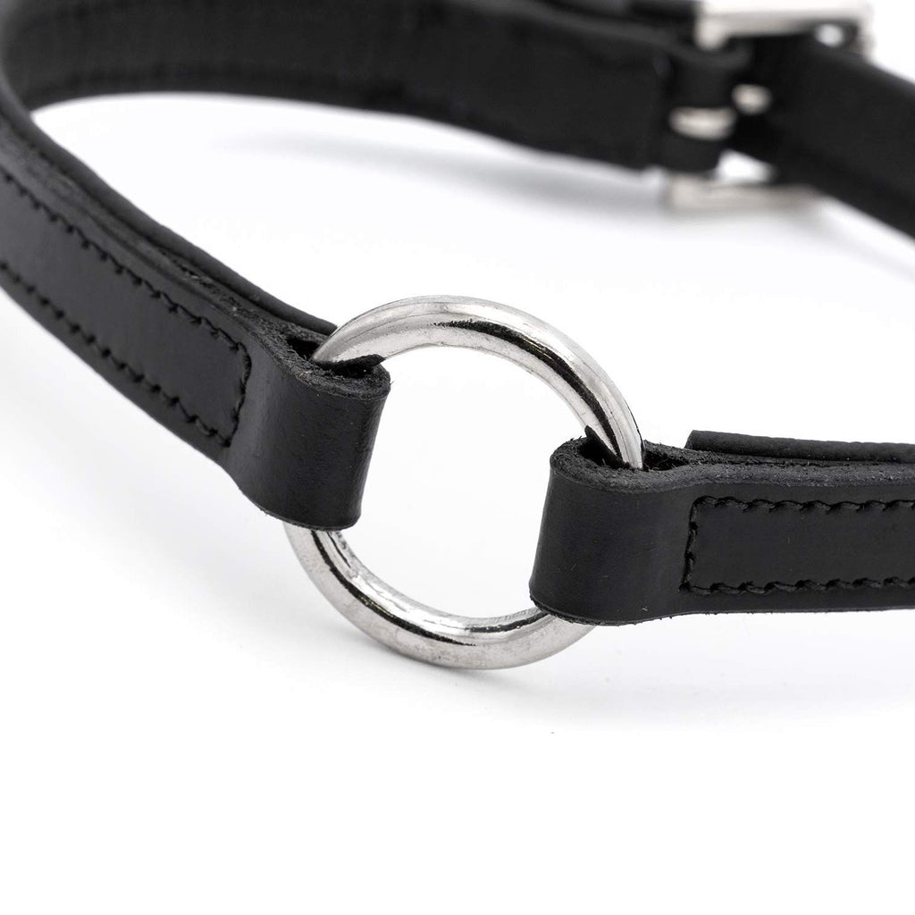 Jeffers Padded Black Leather Dog Collars with O-Ring and Nickel Hardware
