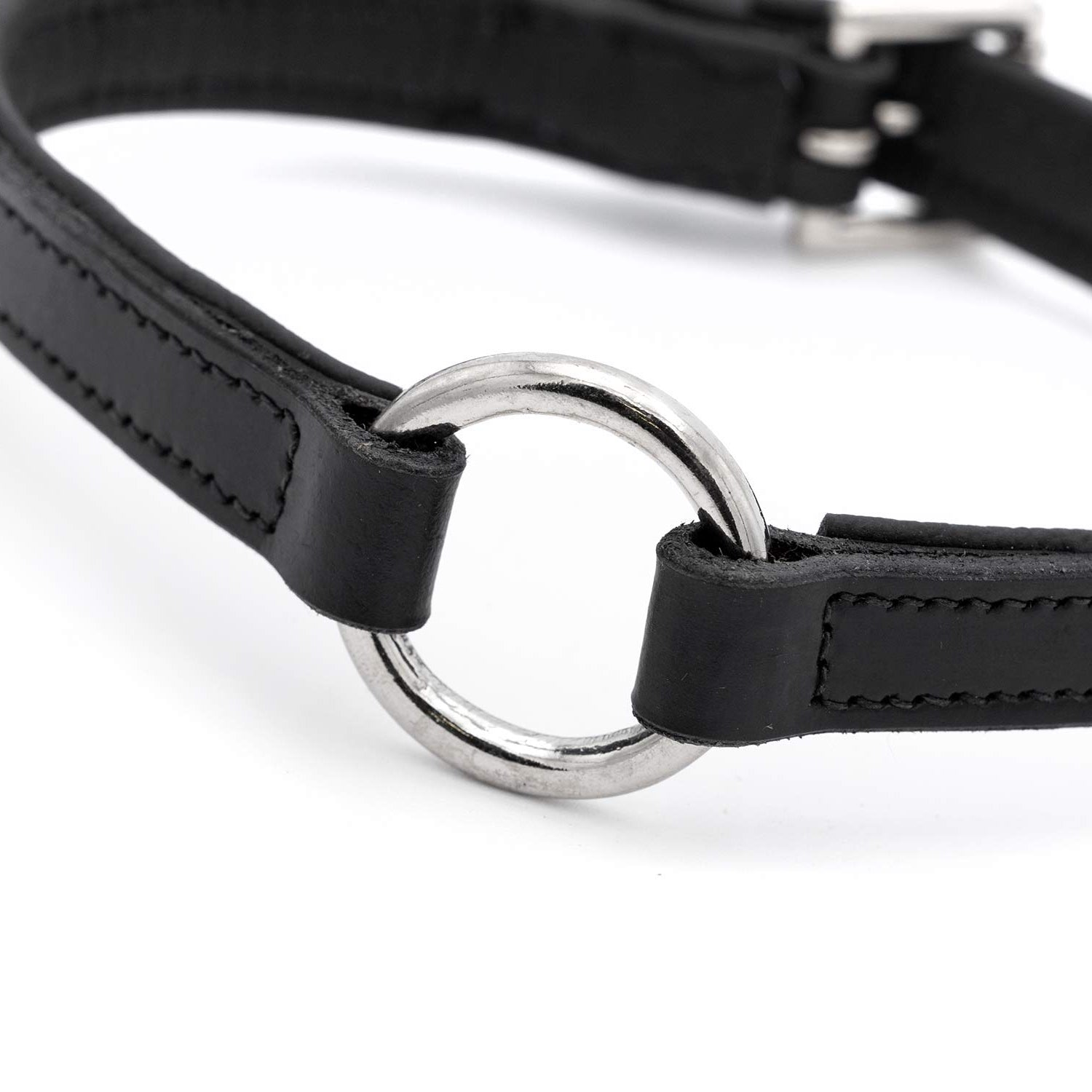 Jeffers Padded Black Leather Dog Collars with O-Ring and Nickel Hardware