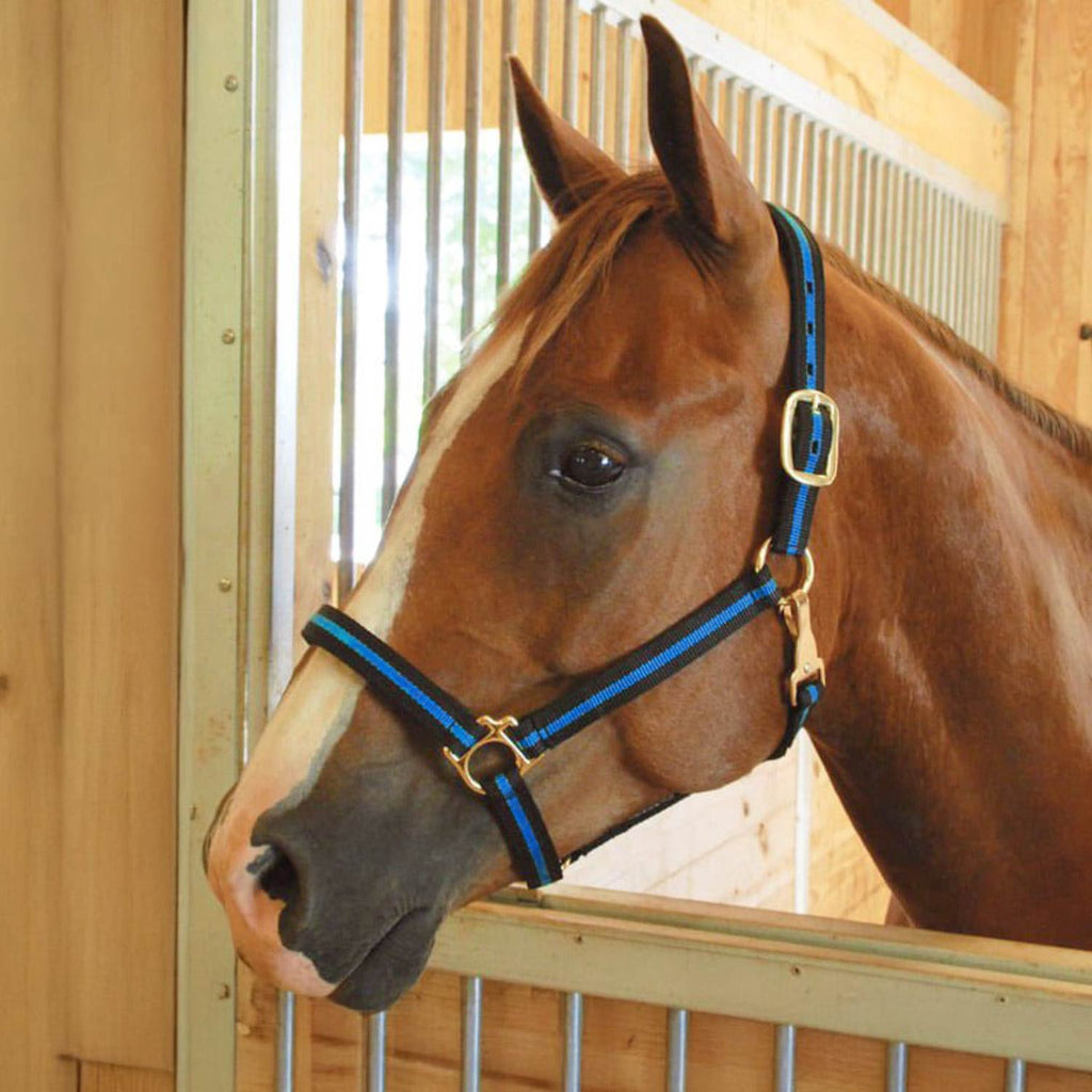 Jeffers Padded Nylon Horse Halter with Throat Snap