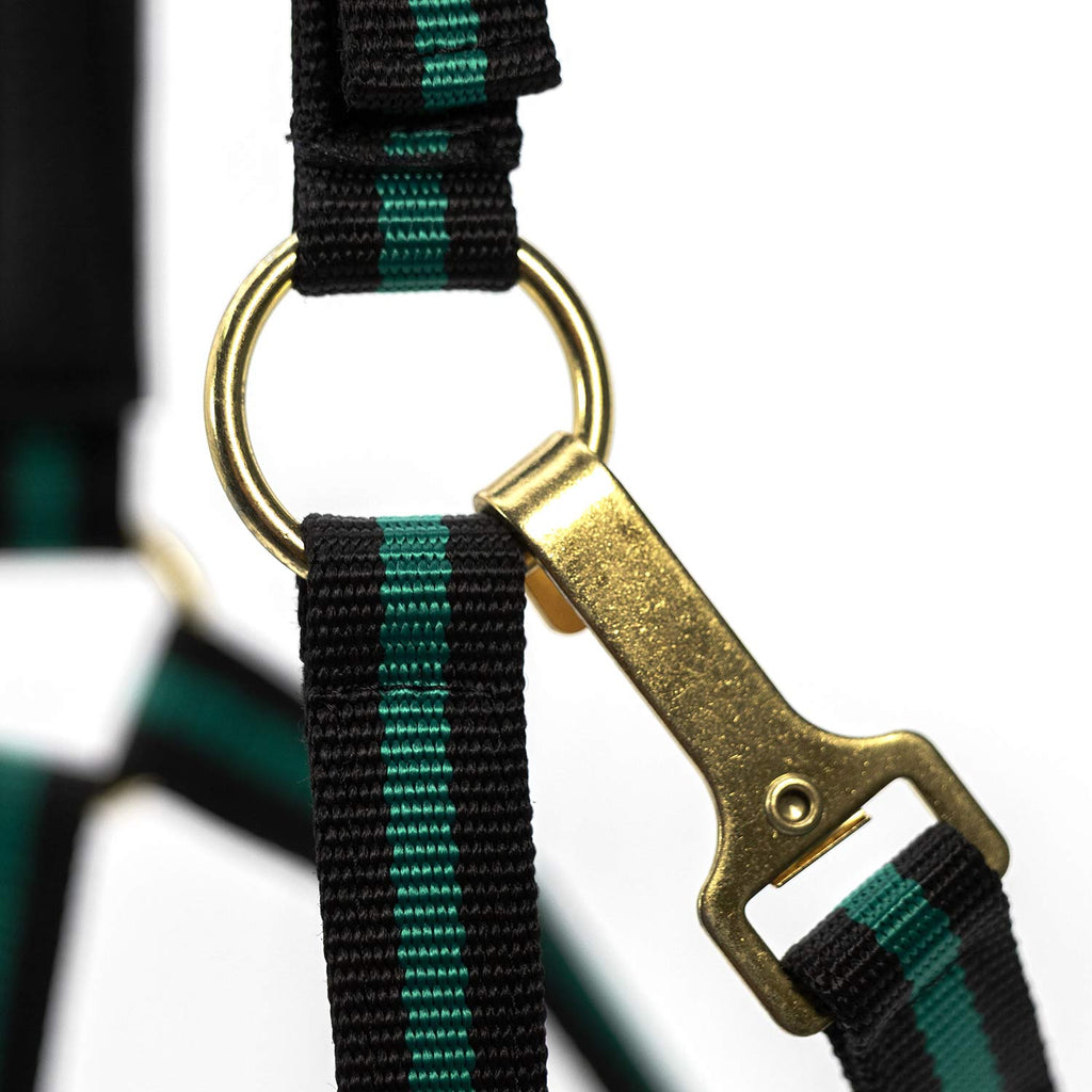 Jeffers Padded Nylon Horse Halter with Throat Snap