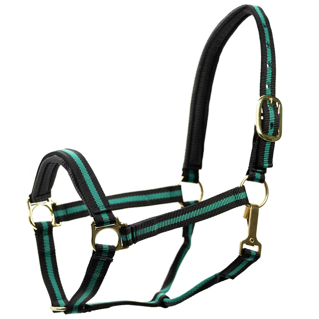 Jeffers Padded Nylon Horse Halter with Throat Snap