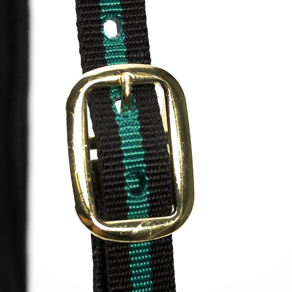 Jeffers Padded Nylon Horse Halter with Throat Snap