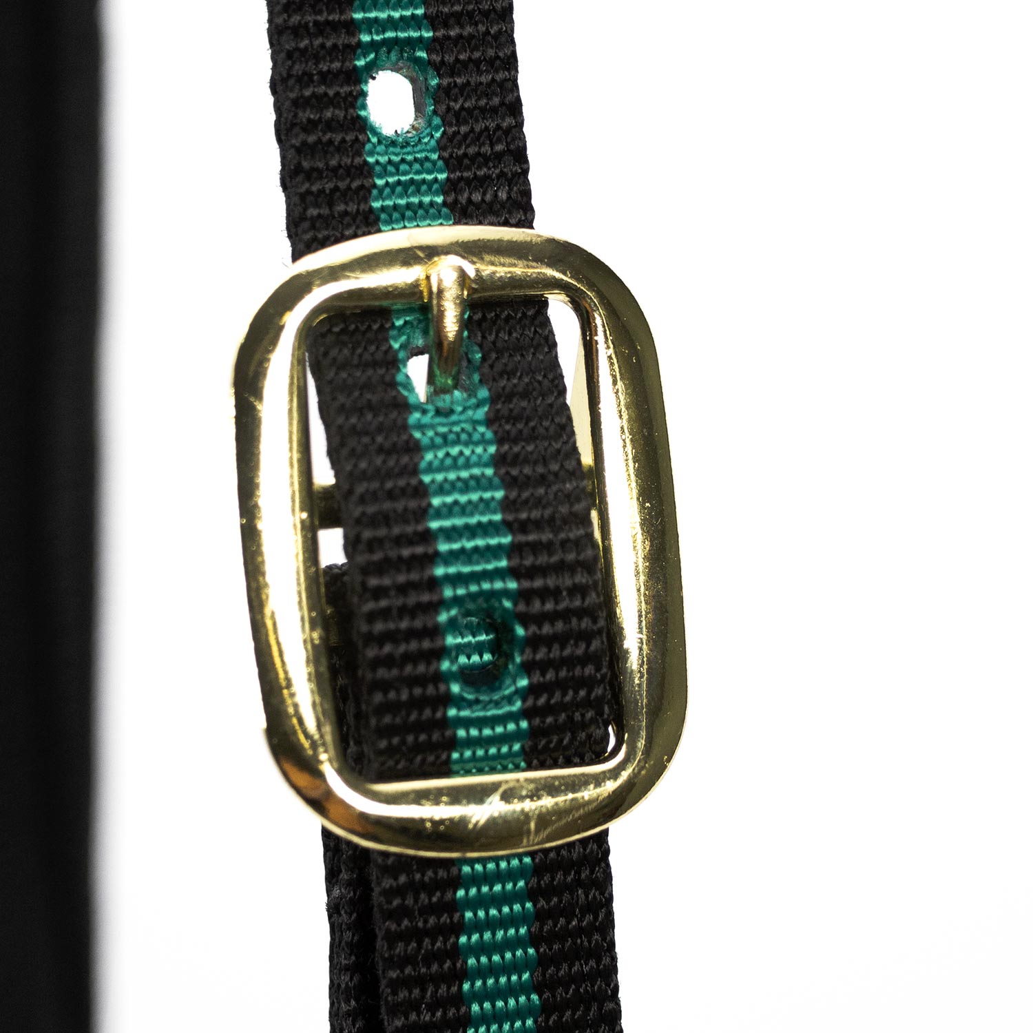 Jeffers Padded Nylon Horse Halter with Throat Snap