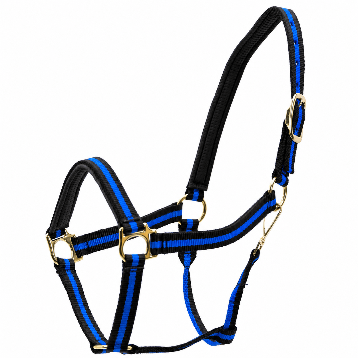 Jeffers Padded Nylon Horse Halter with Throat Snap