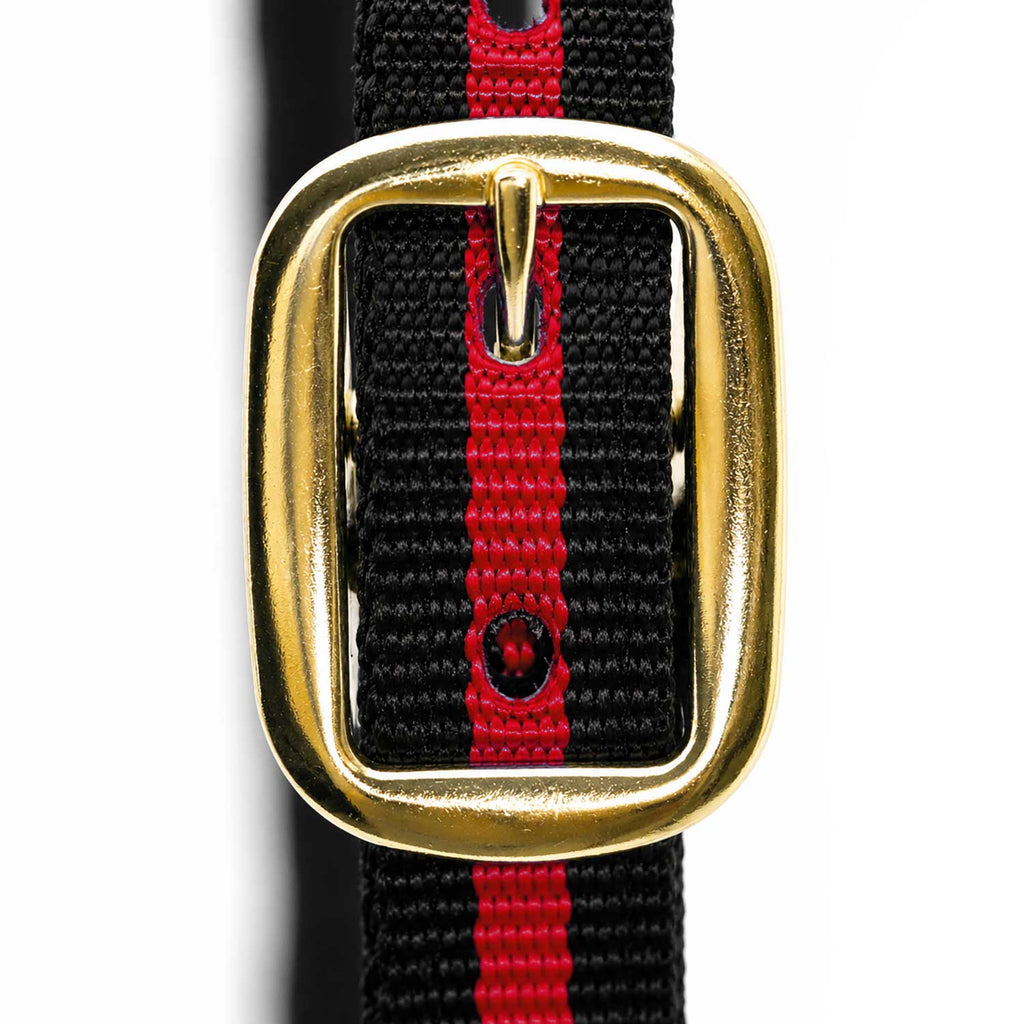 Jeffers Padded Nylon Horse Halter with Throat Snap