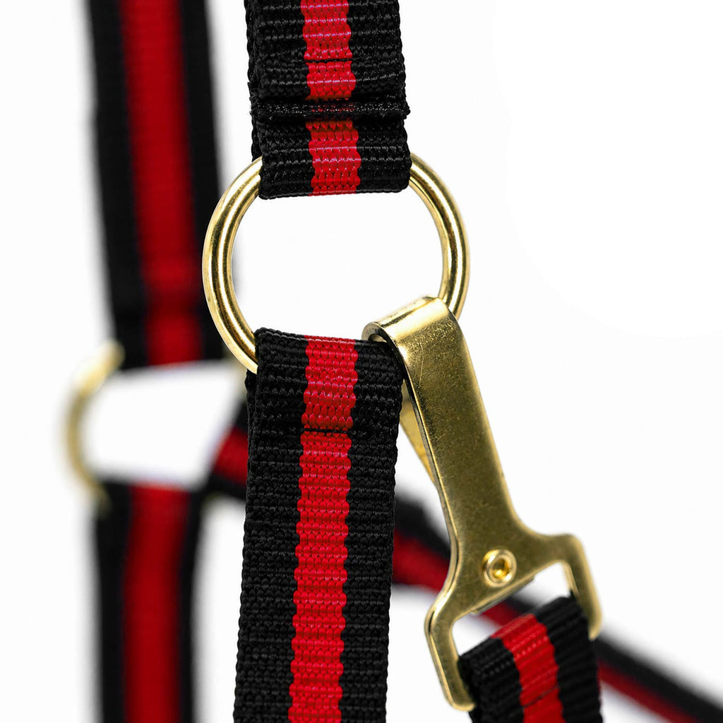 Jeffers Padded Nylon Horse Halter with Throat Snap