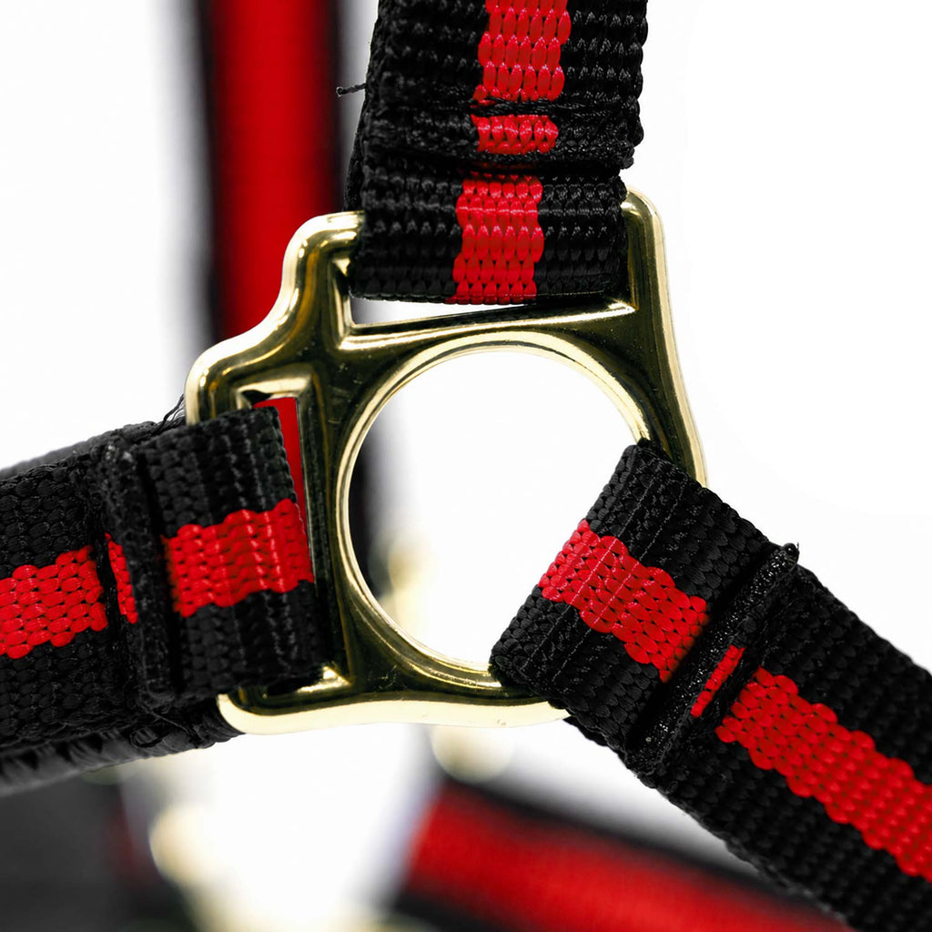 Jeffers Padded Nylon Horse Halter with Throat Snap