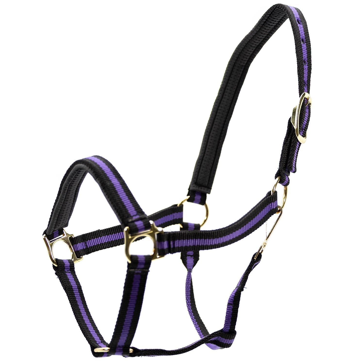 Jeffers Padded Nylon Horse Halter with Throat Snap