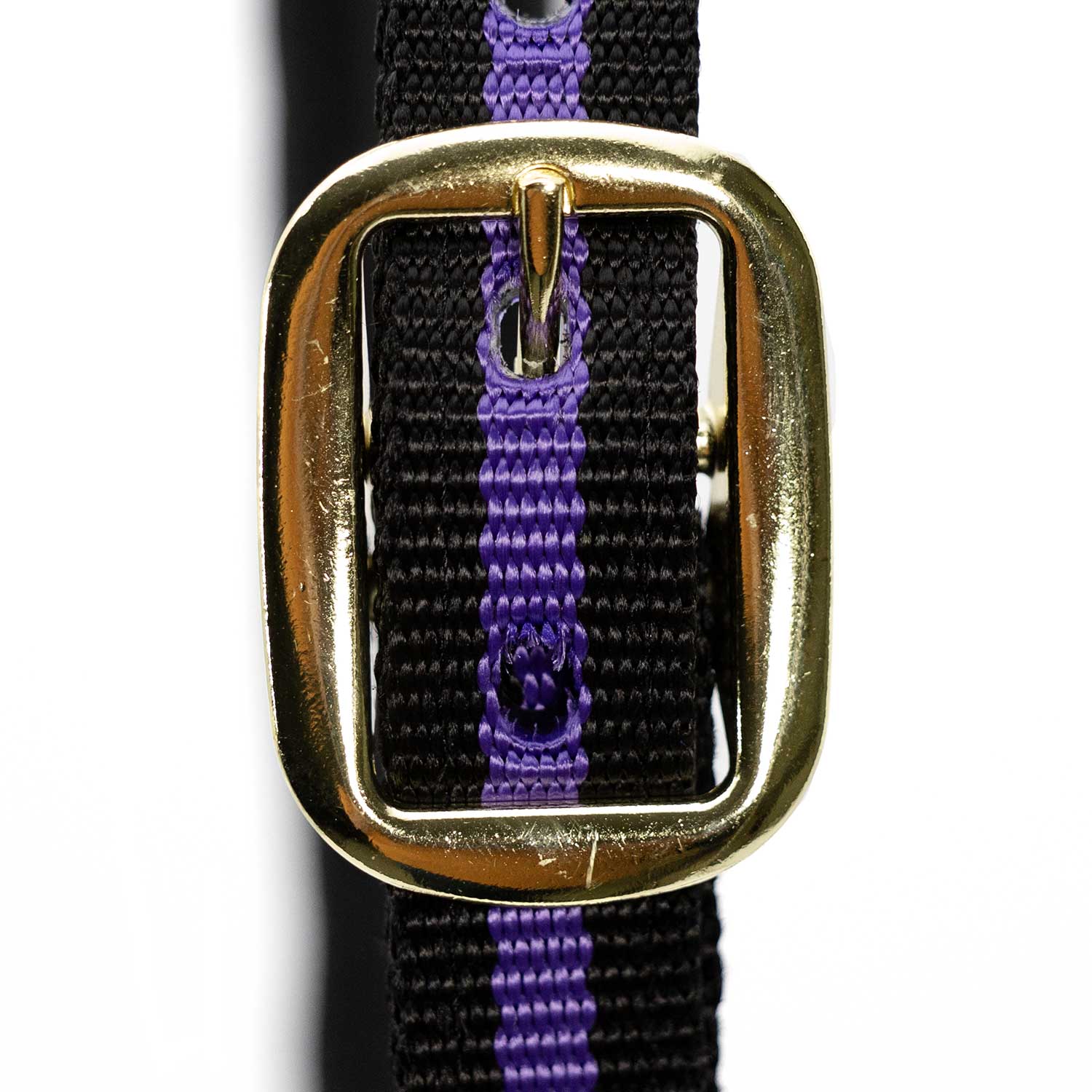 Jeffers Padded Nylon Horse Halter with Throat Snap