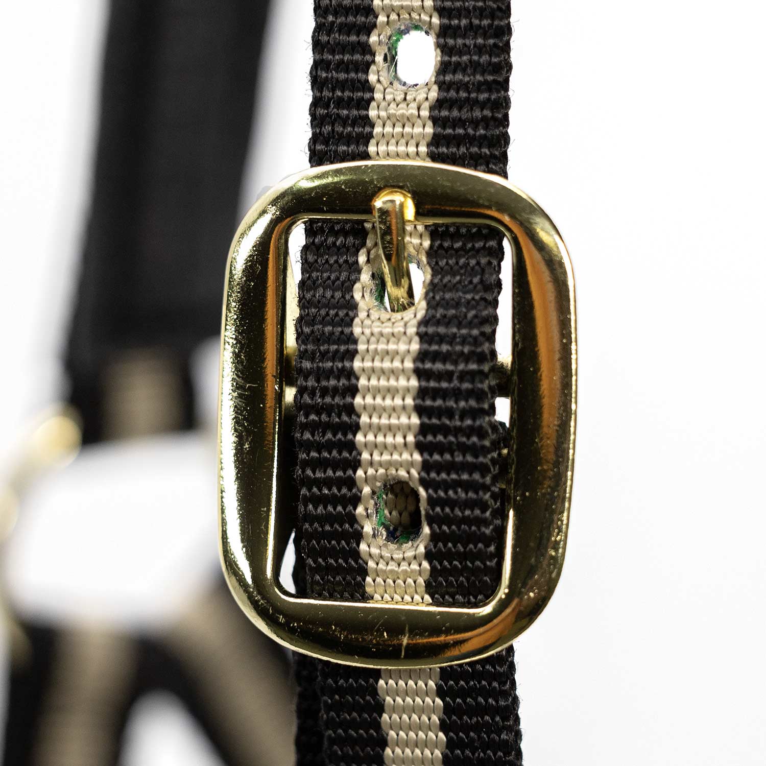 Jeffers Padded Nylon Horse Halter with Throat Snap