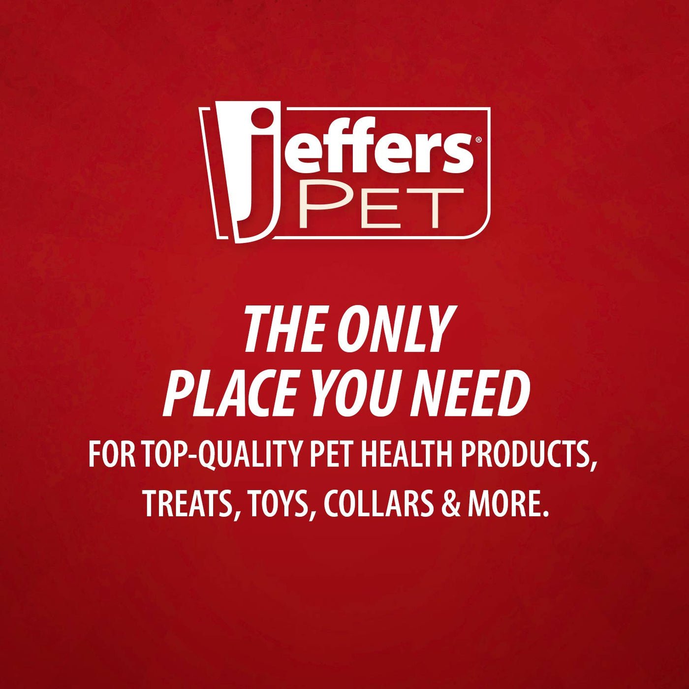 Jeffers Stainless Steel Flying Saucer Puppy Food & Water Bowl